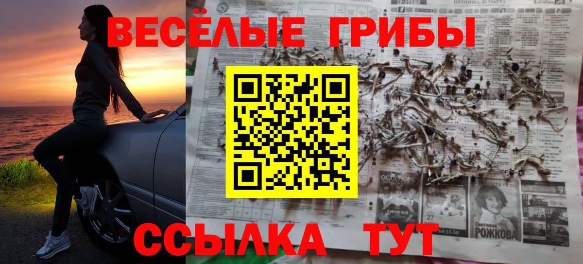 Димитровград  Псилоцибиновые грибы прущие грибы  купить наркоту  Вход с VPN 