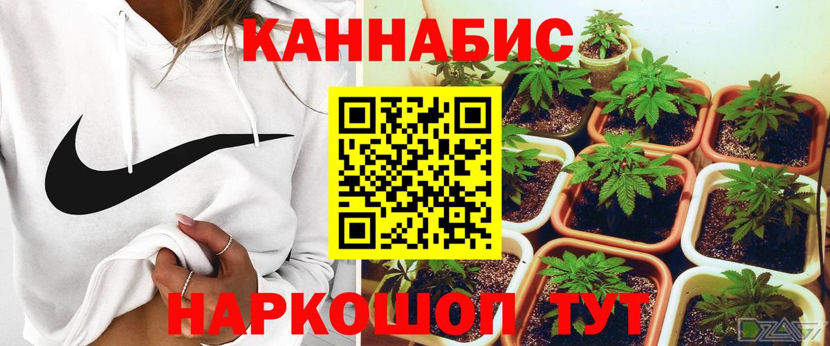 Шишки марихуана THC 21% Димитровград